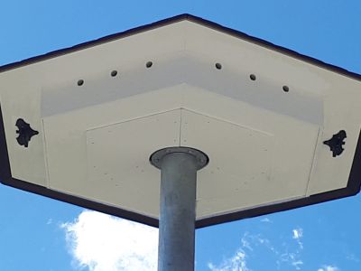 Mauerseglerhaus Modell "Apus einstöckig"